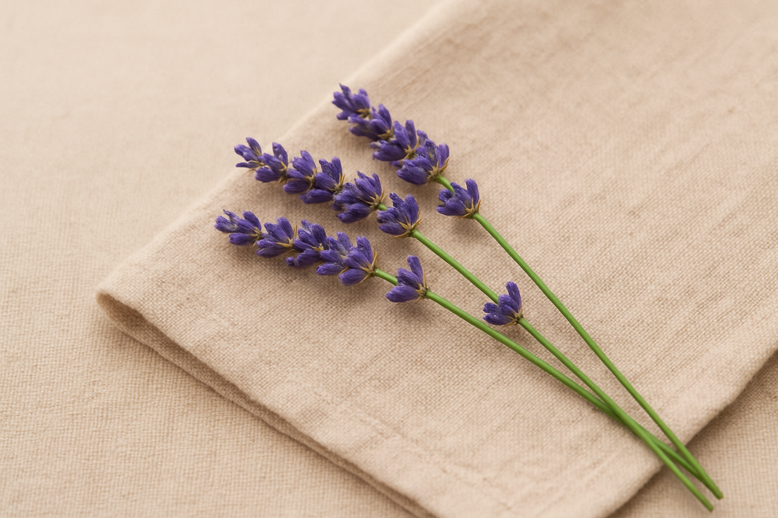 Hydrolat de Lavande Fine