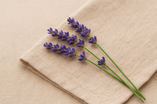 Hydrolat de Lavande Fine